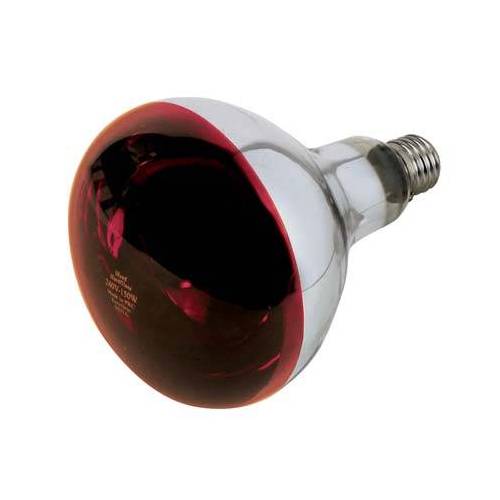 LAMPADA RIFLETTORE PULCINI PHILIPS