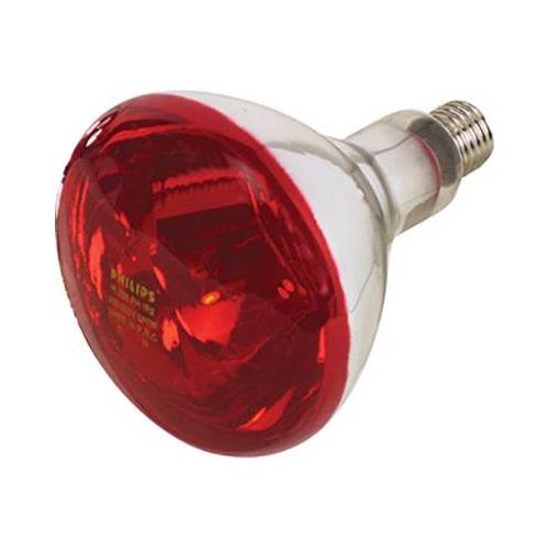 LAMPADA RIFLETTORE PULCINI