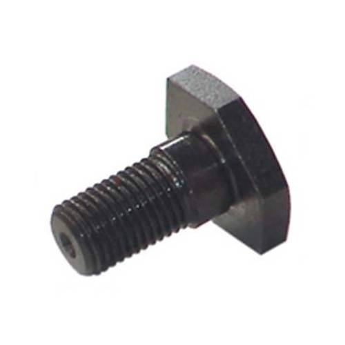 VITE INFERIORE TRONCARAMI TUCANO...