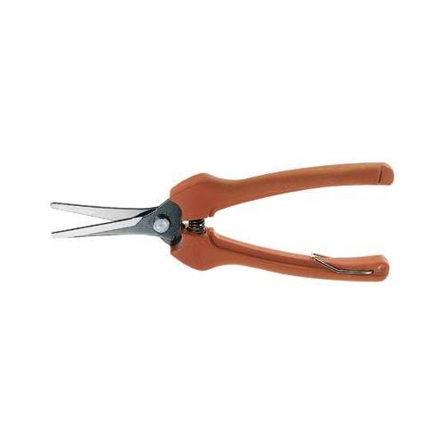 6,00000000000000000000 x FORBICE...