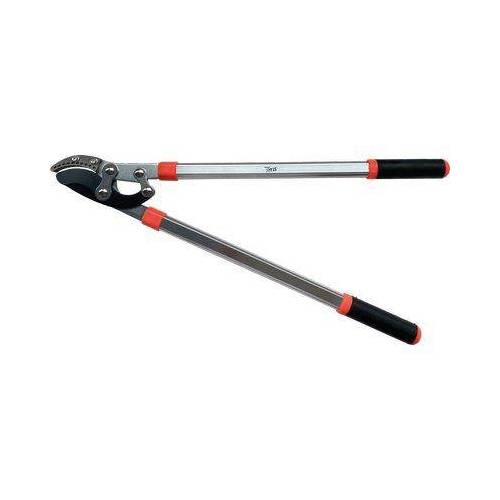 TRONCARAMI A BATTUTA STARS