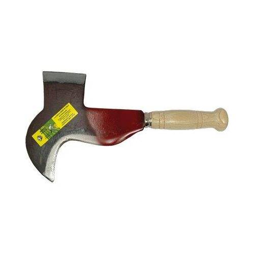 RONCOLA PENNATA FROSINONE...