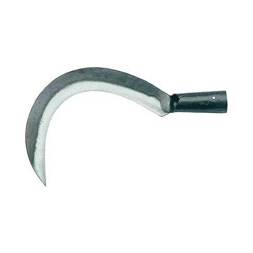 RONCOLA SCANSANO + CANOLA 113 RINALDI