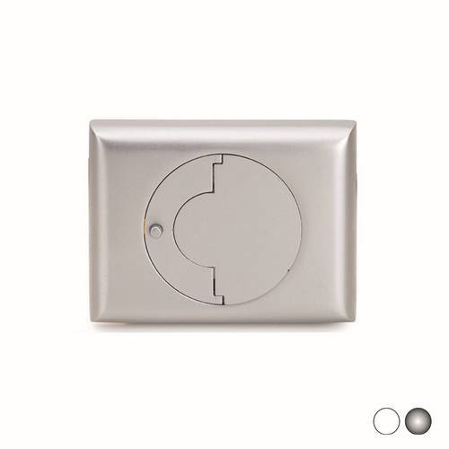 PLAQUE AVEC LEVIER ET ROSACE...