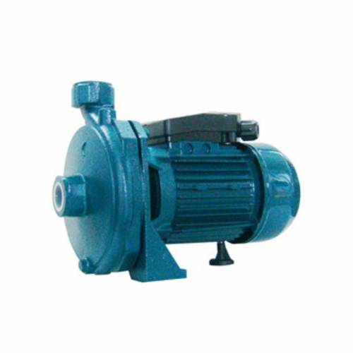 ELETTROPOMPA CENTRIFUGA 1,0 HP CD67N