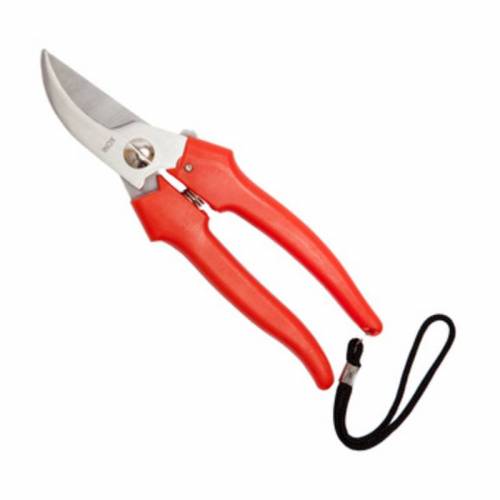 FORBICI P/UVA FALCI INOX 19 CM