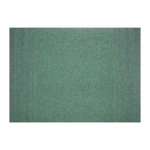 30 x PASSATOIA PASSAT H 67 CM VERDE