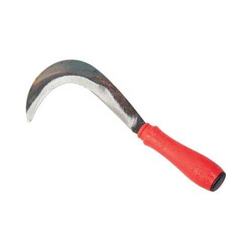 RONCOLINA X ORTAGGI FALCI