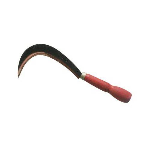 RONCOLINA X ORTAGGI STARS