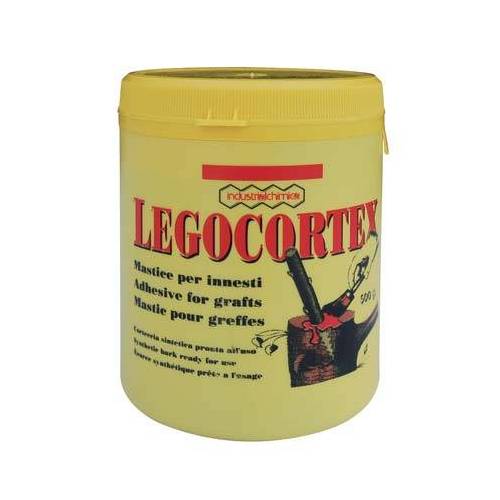4,0 x MASTIC X GREFFE LEGOCORTEX COPYR