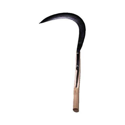 FALCIOLA SEGHEZZA CANTONIERE