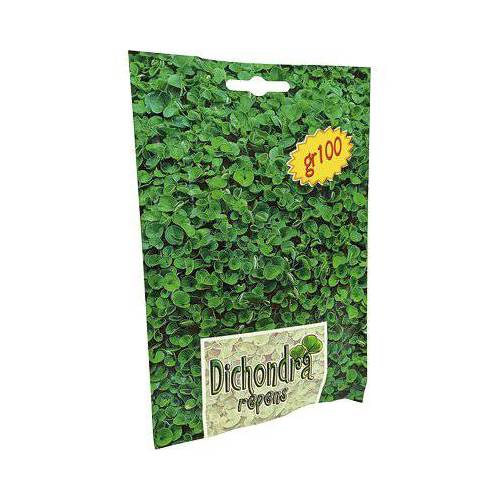 3,0 x SEMENCE DE DICHONDRA REPENS