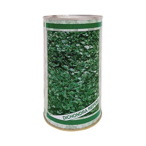 2,0 x SEME PRATO DICHONDRA REPENS