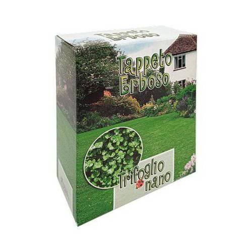 2,0 x SEME PRATO TRIFOGLIO REPENS NANO