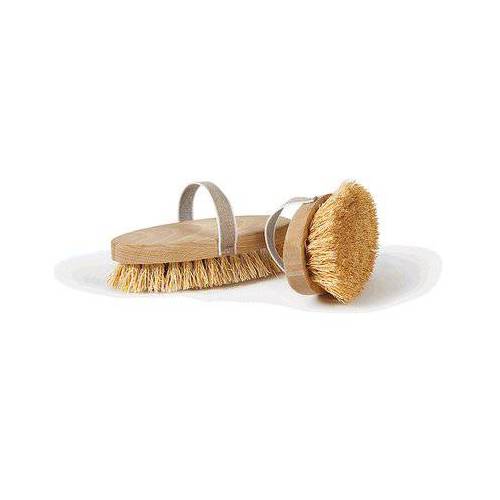 2,0 x BROSSE OVALE EN BOIS TREBBIA...