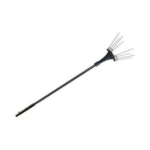 COGLIOLIVE BATTERIA GIULIA AIMA