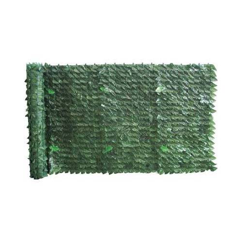 SIEPE SEMPREVERDE LAURO SERIE PLUS