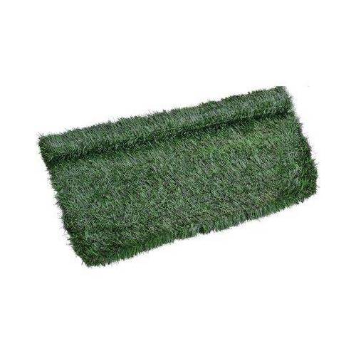 2,0 x SIEPE SEMPREVERDE ABETE