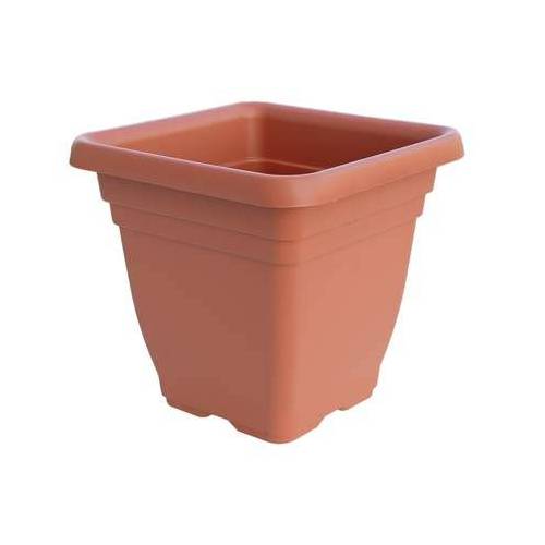 6,0 x VASO QUADRO LAURUS ICS