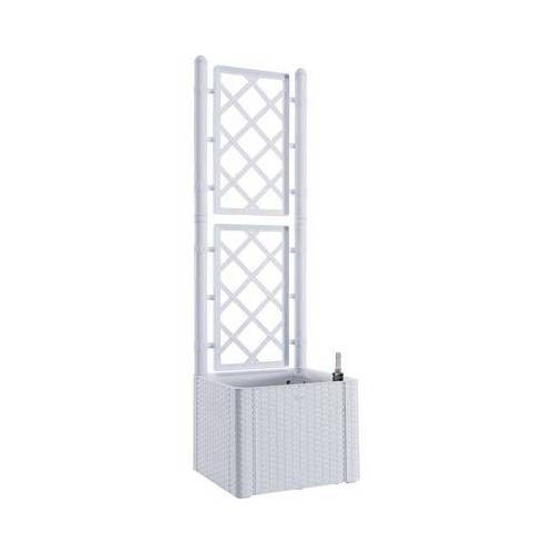 FIORIERA + GRIGLIATO...