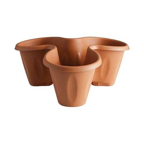 3,0 x VASO TRIFOGLIO BAMA