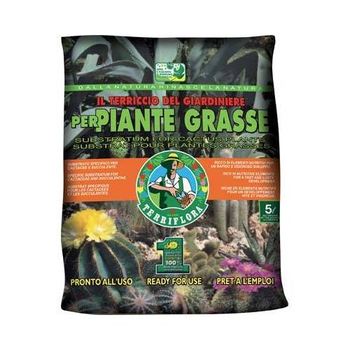 TERREAU POUR PLANTES GRASSES TERRIFLORA