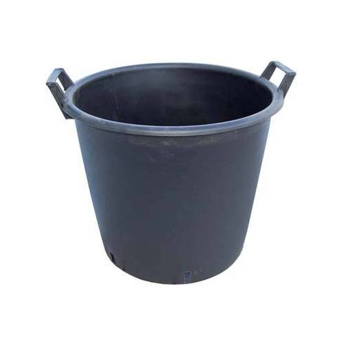 MASTELLO PÉPINIÉRISTES MANICATO