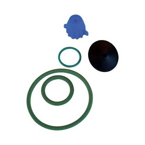 KIT DE RECHANGE POUR POMPE EROS VITON...