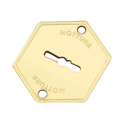 5,0 x MOSTRINA PORTA BLINDATA 95223...