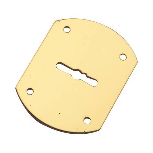 5,0 x MOSTRINA PORTA BLINDATA A BOTTE...