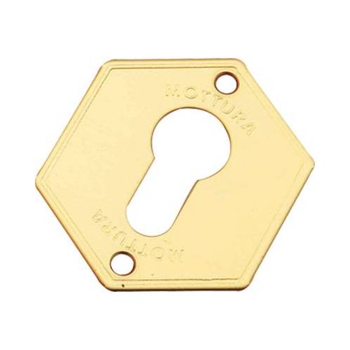 5,0 x MOSTRINA PORTA BLINDATA 95297...