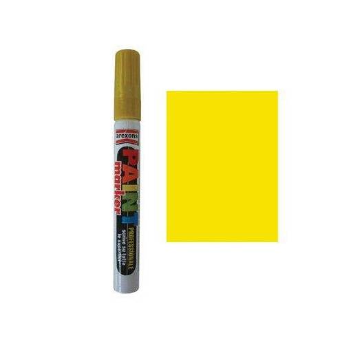 12,0 x MARQUEUR PEINTURE AREXONS