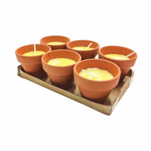 24 x CITRONELLA IN COCCIO POLLICINO...