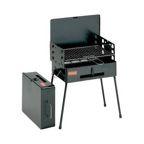 BARBECUE CARBONELLA PIC NIC...