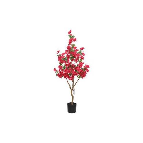 2 x C BOUGANVILLEA 120 CM