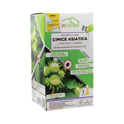 TRAPPOLA CIMICI ASIATICHE INVERDE