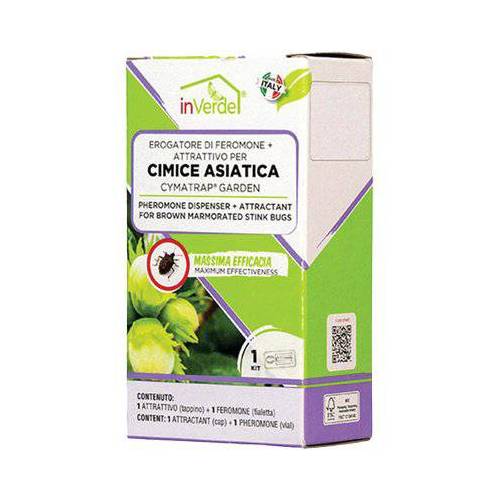 ESCA TRAPPOLA CIMICI ASIATICHE INVERDE