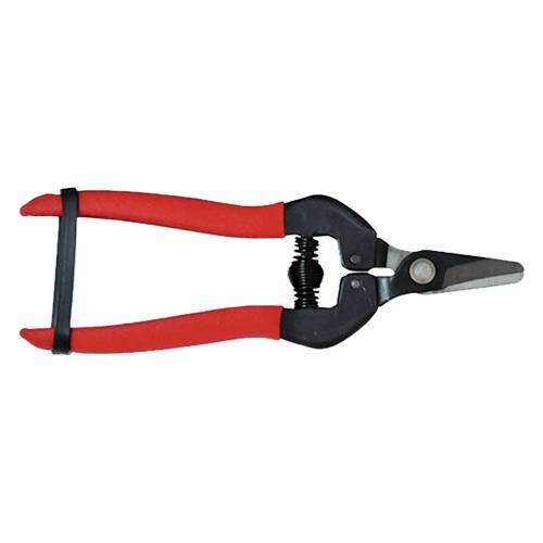 FORBICI COGLIUVA cm 16