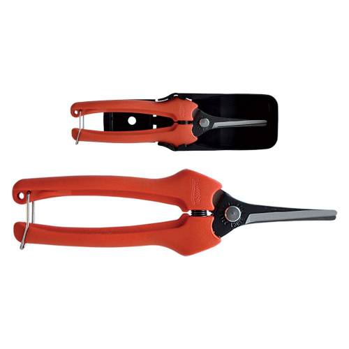 FORBICI COGLIUVA cm 19 -...