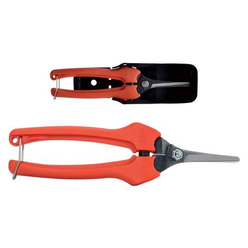 FORBICI COGLIUVA cm 19 -...