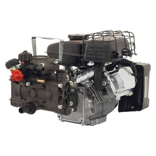 MOTOPOMPA IRRORATRICE 'AR 202' Hp 2,5