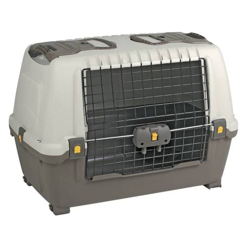 TRASPORTINO cm 100 x 60 x H...