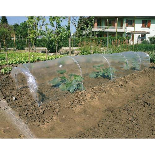 SERRA DA ORTO 'TUNNEL A SOFFIETTO' cm...