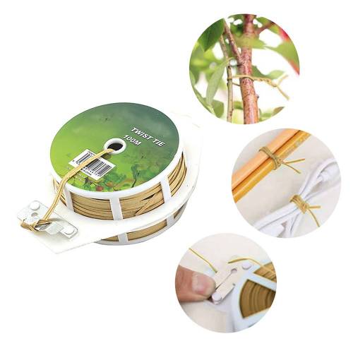 PIATTINA FILO CARTONATO cm 15...