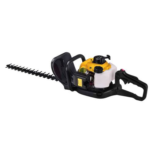 TAGLIASIEPI A SCOPPIO...