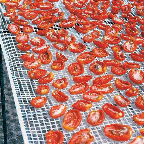 RETE PER ESSICCAZIONE ALIMENTI mt. 1...