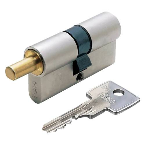 CILINDRO SAGOMATO PER POMOLO 'R6...