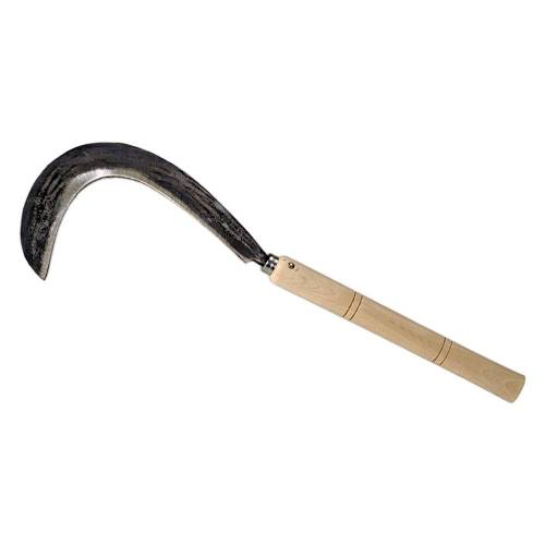 RONCOLA PER BIETOLA...