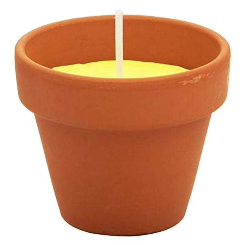 VASETTO COTTO CON CITRONELLA cf da 6...