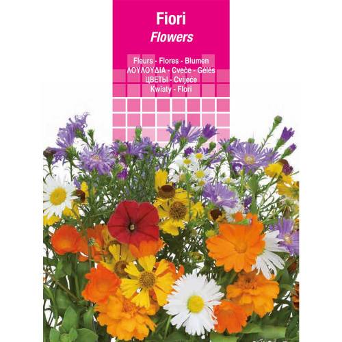 SEMI PER PRATO UNIVERSALE dahlia mignon